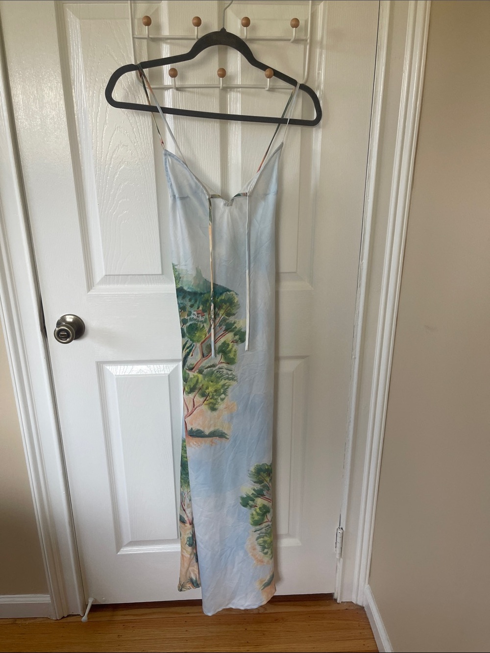 Anthropologie Light Blue Scenic-Print Maxi Slip Dress